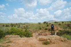 Mountain House Homestyle Chicken Noodle Casserole Pro-Pak - 1 Serving -Outdoor Product Sales 09dd6763 5047 4a45 b862 c6041e8960dd