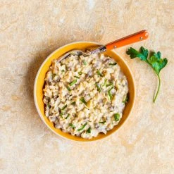 Mountain House Classic Beef Stroganoff - 3 Servings -Outdoor Product Sales d8442c5f f613 40c6 997f eda6553cfe55